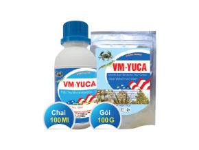 Hấp thu nhanh khí độc