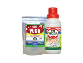 Hấp thu nhanh khí độc cấp cứu tôm nổi đầu